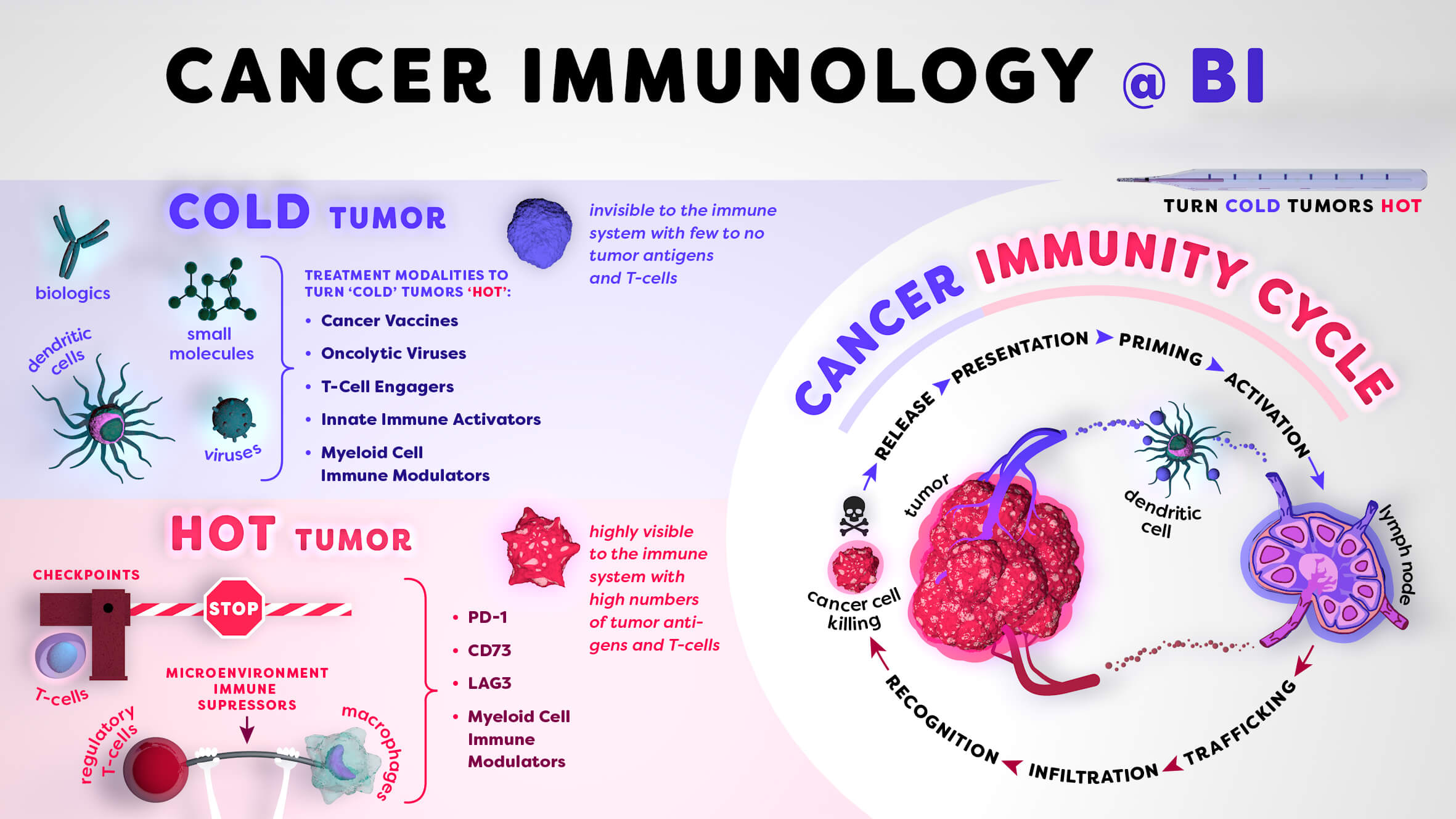Infographic / Cancer Immunology @ Boehringer Ingelheim © Daniela Leitner