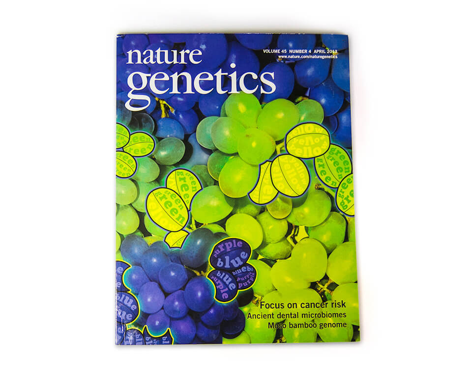 Nature Genetics / Coverserie / Daniela Leitner / Magazin April 2013 / Früchte