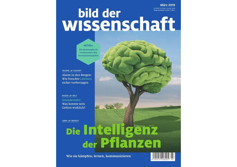 bild der wissenschaft, Ausgabe März 2019: Die Intelligenz der Pflanzen / Covermotiv: Daniela Leitner