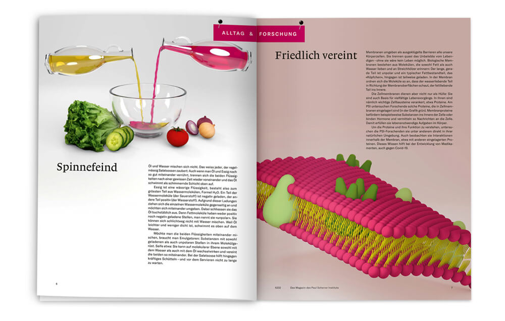 5232 Das Magazin des Paul Scherrer Instituts (PSI) / Design Infografik Alltag & Forschung: Wasser und Fett in Membranen, Daniela Leitner