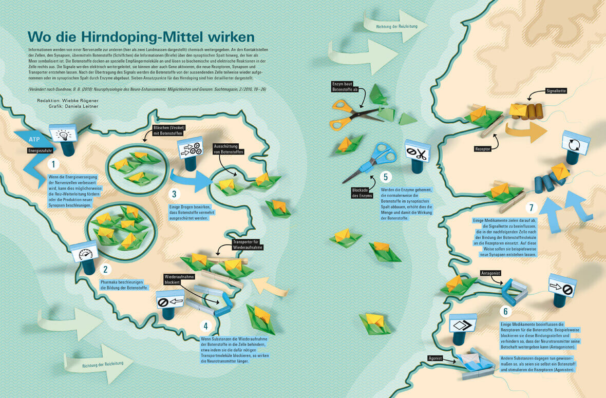 Magazin bild der wissenschaft / Infografik Hirndoping / Design Daniela Leitner
