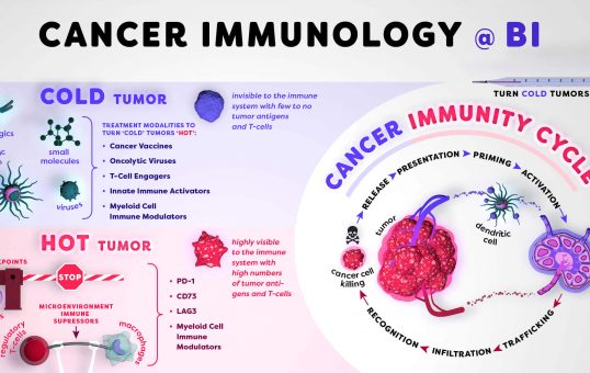 Infographic / Cancer Immunology @ Boehringer Ingelheim / Design Daniela Leitner
