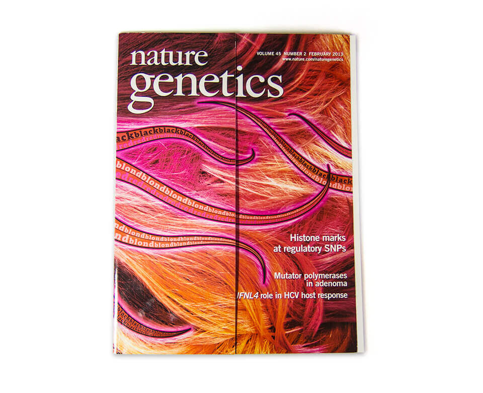 Nature Genetics / Cover / Daniela Leitner / Magazin Februar 2013 / Haarfarbe